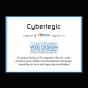 Los Angeles, California, United States agency Cybertegic wins One of the 10 Most Promising Web Design and Development Companies by CIOReview award