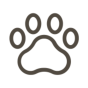 Clinton Township, Michigan, United States agency NerdPlace helped Wild Canine grow their business with SEO and digital marketing