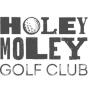 Melbourne, Victoria, Australia agency First Page helped Holey Moley grow their business with SEO and digital marketing