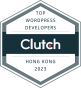 L'agenzia Visible One di Singapore ha vinto il riconoscimento Top Clutch Wordpress Developers Hong Kong 2023