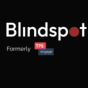 Carlsbad, California, United States agency Organic Media Group helped Blindspot grow their business with SEO and digital marketing