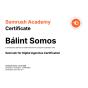 Kecskemet, Bacs-Kiskun, Hungary 营销公司 Somos Media 获得了 Semrush for Digital Agencies Certification 奖项