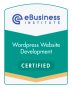 Brisbane, Queensland, Australia agency DCB Digital wins eBusiness Institute WordPress Expert award