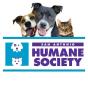 Hewitt, Texas, United StatesのエージェンシーYellowWebMonkeyは、SEOとデジタルマーケティングでSan Antonio Humane Societyのビジネスを成長させました
