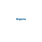 India : L’ agence EZ Rankings a aidé Kajaria à développer son activité grâce au SEO et au marketing numérique