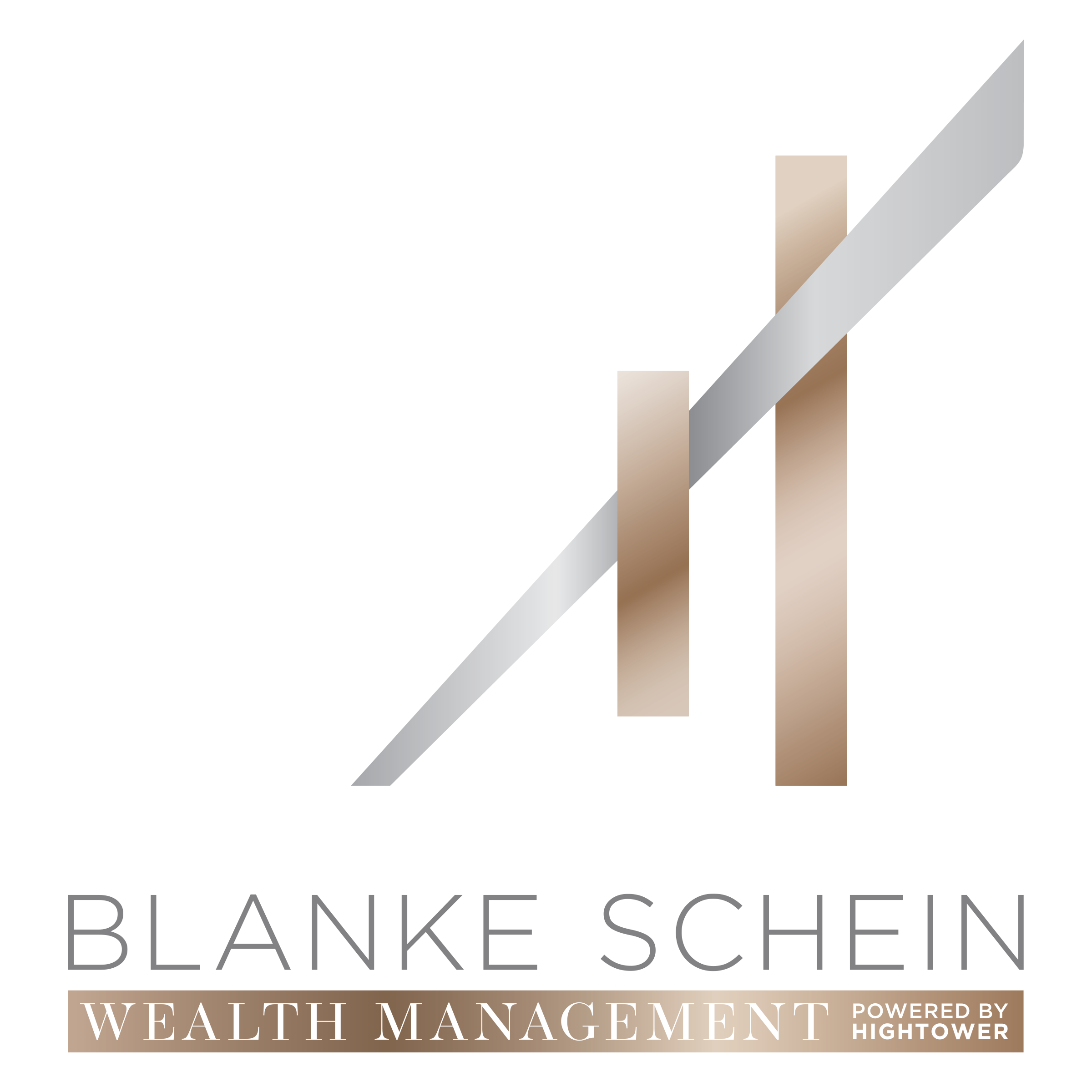 Palm Springs, California, United States agency FrogFrenchie Design helped Blanke Schein Wealth Management | Hightower grow their business with SEO and digital marketing
