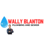 Tampa, Florida, United StatesのエージェンシーMomentumProは、SEOとデジタルマーケティングでWally Blanton Plumbing &amp; Sewerのビジネスを成長させました