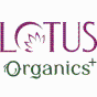 IndiaのエージェンシーCybezは、SEOとデジタルマーケティングでLotus Organicsのビジネスを成長させました