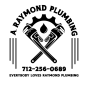 Shenandoah, Iowa, United States: Byrån BA Marketing &amp; Publicity hjälpte A. Raymond Plumbing att få sin verksamhet att växa med SEO och digital marknadsföring