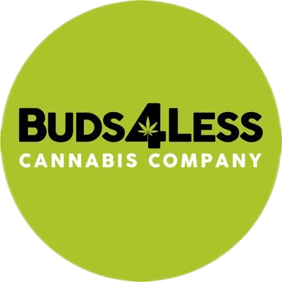 Toronto, Ontario, Canada의 Reach Ecomm - Strategy and Marketing 에이전시는 SEO와 디지털 마케팅으로 Buds4Less의 비즈니스 성장에 기여했습니다