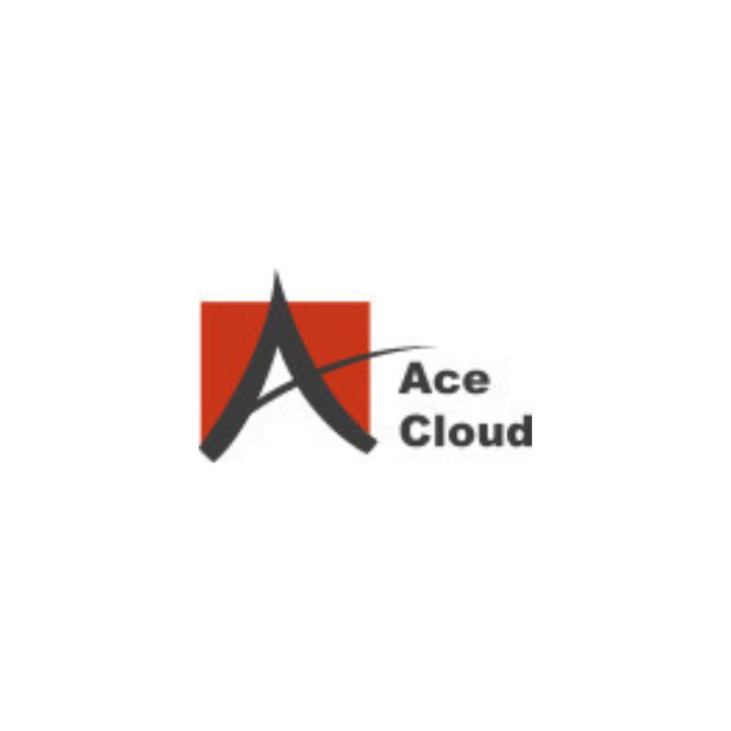 United States IndeedSEO ajansı, Ace Cloud Hosting için, dijital pazarlamalarını, SEO ve işlerini büyütmesi konusunda yardımcı oldu