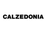 London, England, United Kingdom 营销公司 GA Agency 通过 SEO 和数字营销帮助了 Calzedonia 发展业务