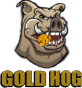 Die Watkinsville, Georgia, United States Agentur Website Genii half Gold Hog dabei, sein Geschäft mit SEO und digitalem Marketing zu vergrößern
