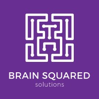 Ely, Minnesota, United States 营销公司 Free Nudge LLC 通过 SEO 和数字营销帮助了 Brain Squared Solutions 发展业务