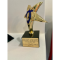 Appleton, Wisconsin, United States agency Coalesce Marketing &amp; Design wins FCC Rising Star Award award