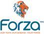 Forte Agency uit United States heeft forzabuilt.com geholpen om hun bedrijf te laten groeien met SEO en digitale marketing