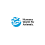 Florence, Tuscany, Italy agency Filarete helped Humane World for Animals grow their business with SEO and digital marketing
