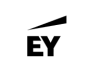 L'agenzia eFlair Webtech Private Limited di Bengaluru, Karnataka, India ha aiutato EY a far crescere il suo business con la SEO e il digital marketing