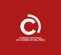 Lima, Peru agency Digixonic Studios wins Chamber of Commerce Peru award
