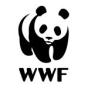 Singapore: Byrån MediaOne hjälpte World Wildlife Fund att få sin verksamhet att växa med SEO och digital marknadsföring