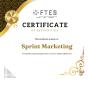 Dubai, Dubai, United Arab Emirates agency Sprint Marketing wins SEO Achievement Certificate award