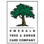 Stillwater, Minnesota, United States STOLBER Digital Marketing Agency ajansı, Emerald Tree & Shrub Care Co için, dijital pazarlamalarını, SEO ve işlerini büyütmesi konusunda yardımcı oldu
