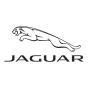 Baltimore, Maryland, United States 营销公司 Digi Solutions 通过 SEO 和数字营销帮助了 Jaguar 发展业务