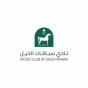 Riyadh, Riyadh Province, Saudi Arabia Perpetual Agency ajansı, Jockey Club Of Saudi Arabia için, dijital pazarlamalarını, SEO ve işlerini büyütmesi konusunda yardımcı oldu