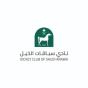 A agência Perpetual Agency, de Riyadh, Riyadh Province, Saudi Arabia, ajudou Jockey Club Of Saudi Arabia a expandir seus negócios usando SEO e marketing digital