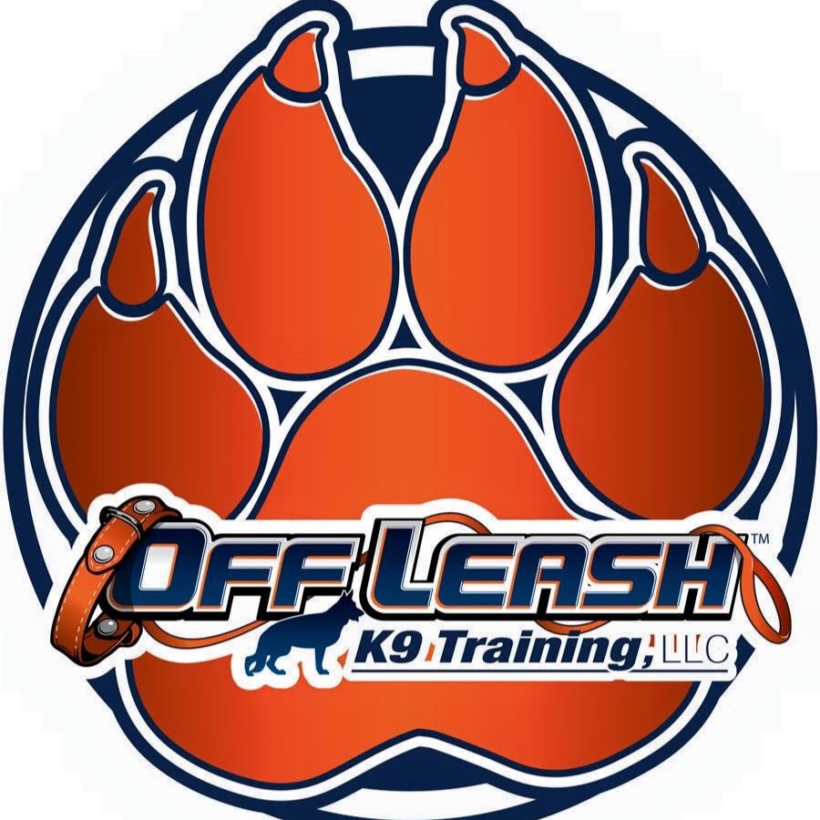 La agencia Exo Agency de Seattle, Washington, United States ayudó a Off Leash K9 Training a hacer crecer su empresa con SEO y marketing digital