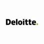 India agency PPN Solutions Pvt Ltd. helped Deloitte grow their business with SEO and digital marketing