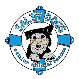 La agencia flyt creative de United States ayudó a Salty Dogs Animal Rescue a hacer crecer su empresa con SEO y marketing digital