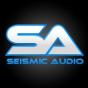 United States agency Thrive Internet Marketing Agency helped Seismic Audio grow their business with SEO and digital marketing