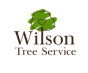 Die Jackson, Wyoming, United States Agentur Gem State Digital half Wilson Tree Service dabei, sein Geschäft mit SEO und digitalem Marketing zu vergrößern