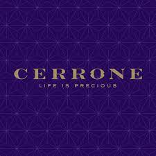 Die Sydney, New South Wales, Australia Agentur Red Search half Cerrone dabei, sein Geschäft mit SEO und digitalem Marketing zu vergrößern