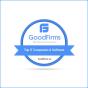 United States agency IT-Geeks wins Goodfirms award