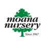 Nevada, United States 营销公司 Unravel 通过 SEO 和数字营销帮助了 Moana Nursery 发展业务