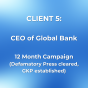 Williamsburg, Virginia, United States agency TheBestReputation helped CEO of Global Bank - 12 Month Campaign (Defamatory Press cleared, GKP created) grow their business with SEO and digital marketing