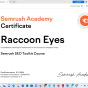 A agência Raccoon Eyes Digital Marketing, de United States, conquistou o prêmio Semrush