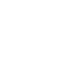 Wave Digital