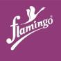 A agência Zero Gravity Communications, de Ahmedabad, Gujarat, India, ajudou Flamingo Health a expandir seus negócios usando SEO e marketing digital