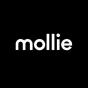 Netherlands agency Gabriëlla Media helped mollie grow their business with SEO and digital marketing