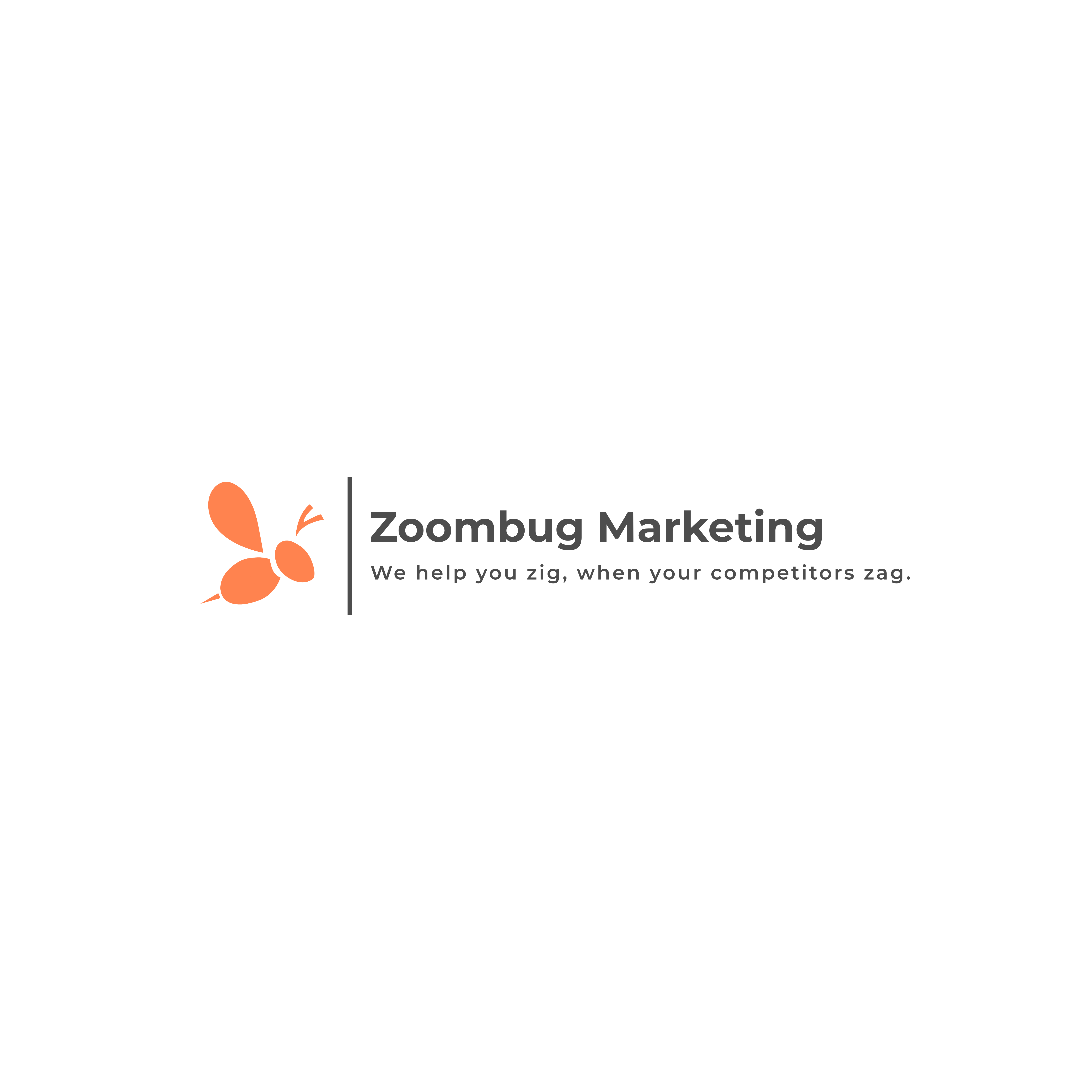 Zoombug Marketing