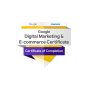 United States agency Iana Dixon Advanced SEO and Copywriting Services wins Google: Digital Marketing And E-Commerce Professional award