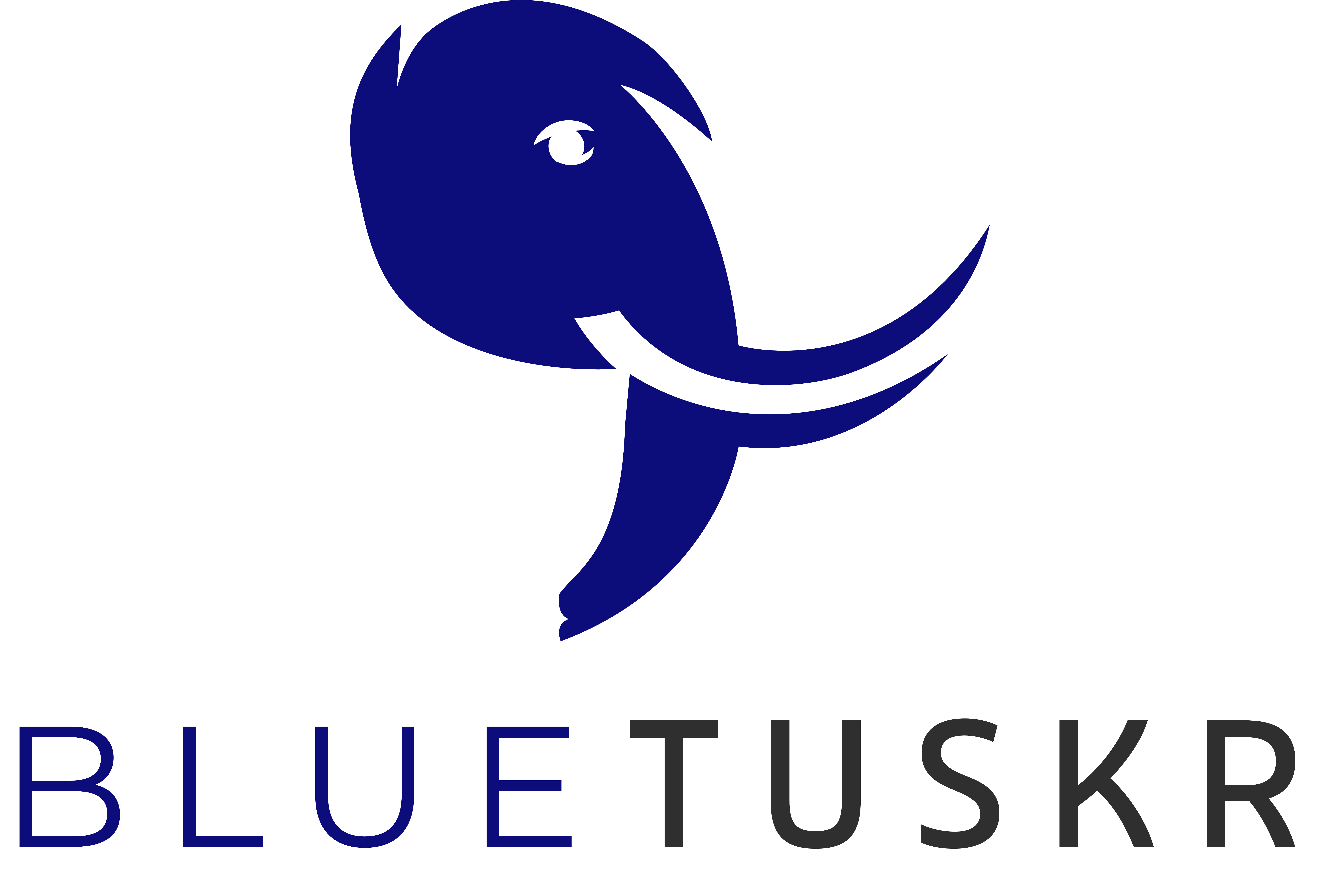 BlueTuskr_Logo_2021V2.png
