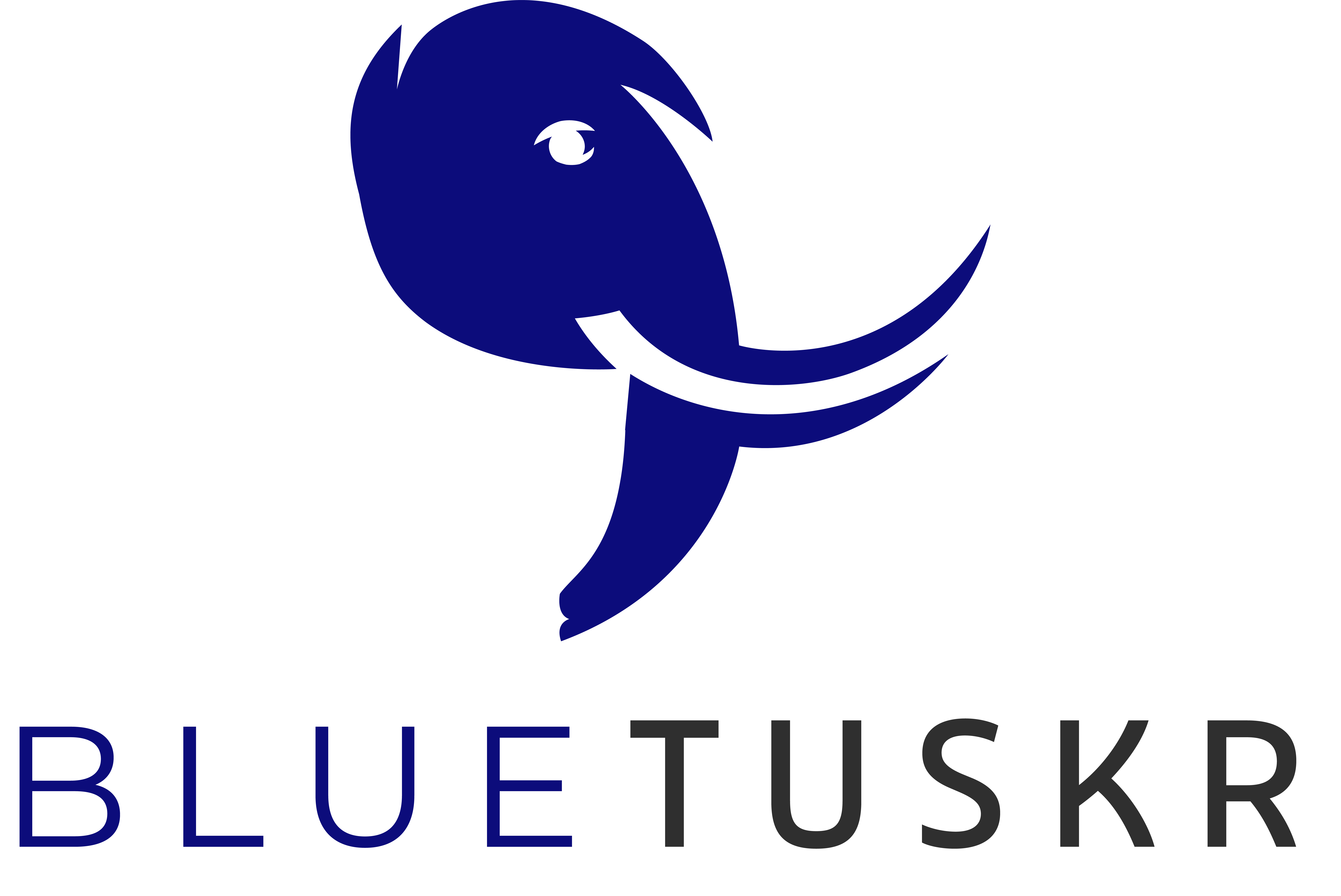 BlueTuskr