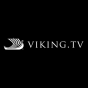 La agencia Bit Quirky Consulting de Newquay, England, United Kingdom ayudó a Viking TV a hacer crecer su empresa con SEO y marketing digital