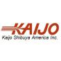 United States agency Smart Web Marketing -WSI Agency helped Kaijo Shibuya America Inc grow their business with SEO and digital marketing