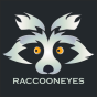 Raccoon Eyes Digital Marketing