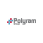 Petah Tikva, Center District, Israel agency Viral Digital Marketing helped Polyram grow their business with SEO and digital marketing